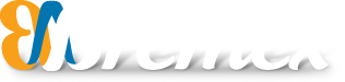 Bremex logo
